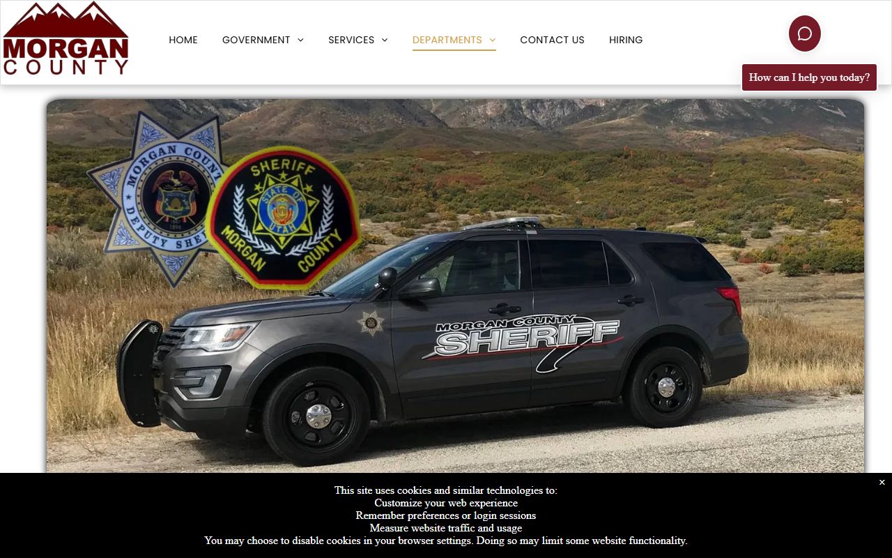 Morgan County Sheriff's Office website for criminal history records